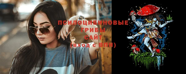 прущая мука Гусиноозёрск