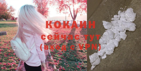 мдпв Гусев