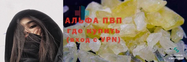 мдпв Гусев