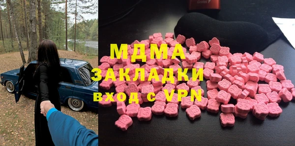 мдпв Гусев