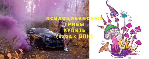 a pvp Дмитровск