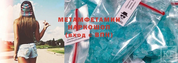 мдпв Гусев
