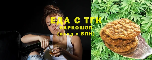 мдпв Гусев