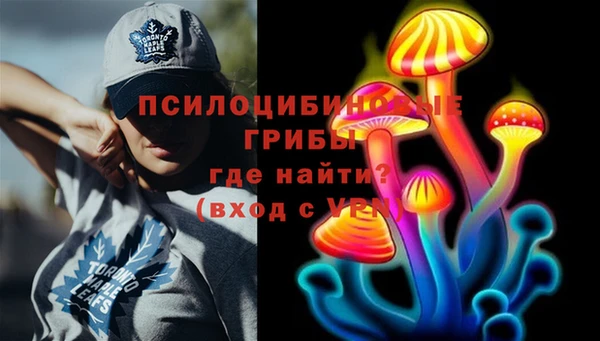 прущая мука Гусиноозёрск