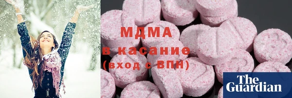 мдпв Гусев