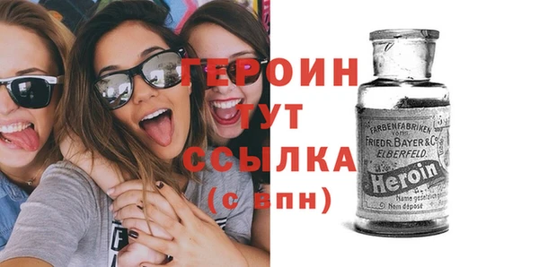 мдпв Гусев